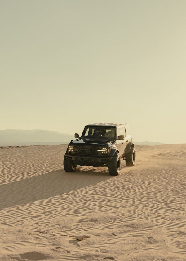 Trailblazer Tier — $250+