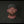 M5 XG Cargo Camo Curved Bill