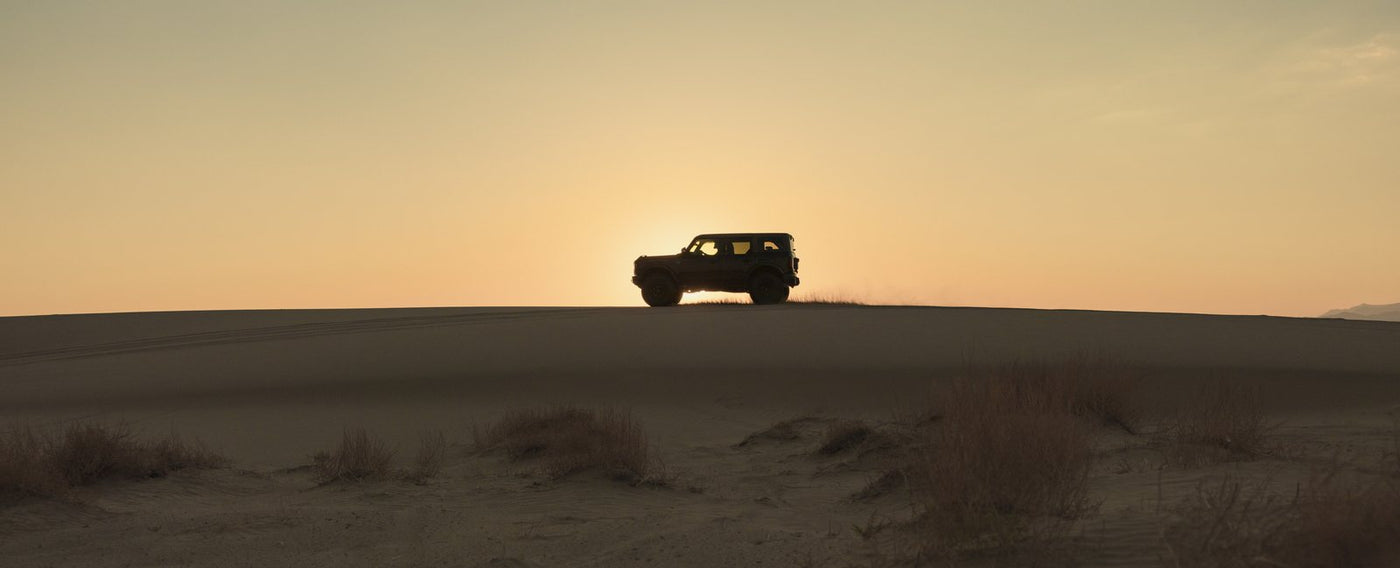 Bronco silhouette on the dunes at sunset