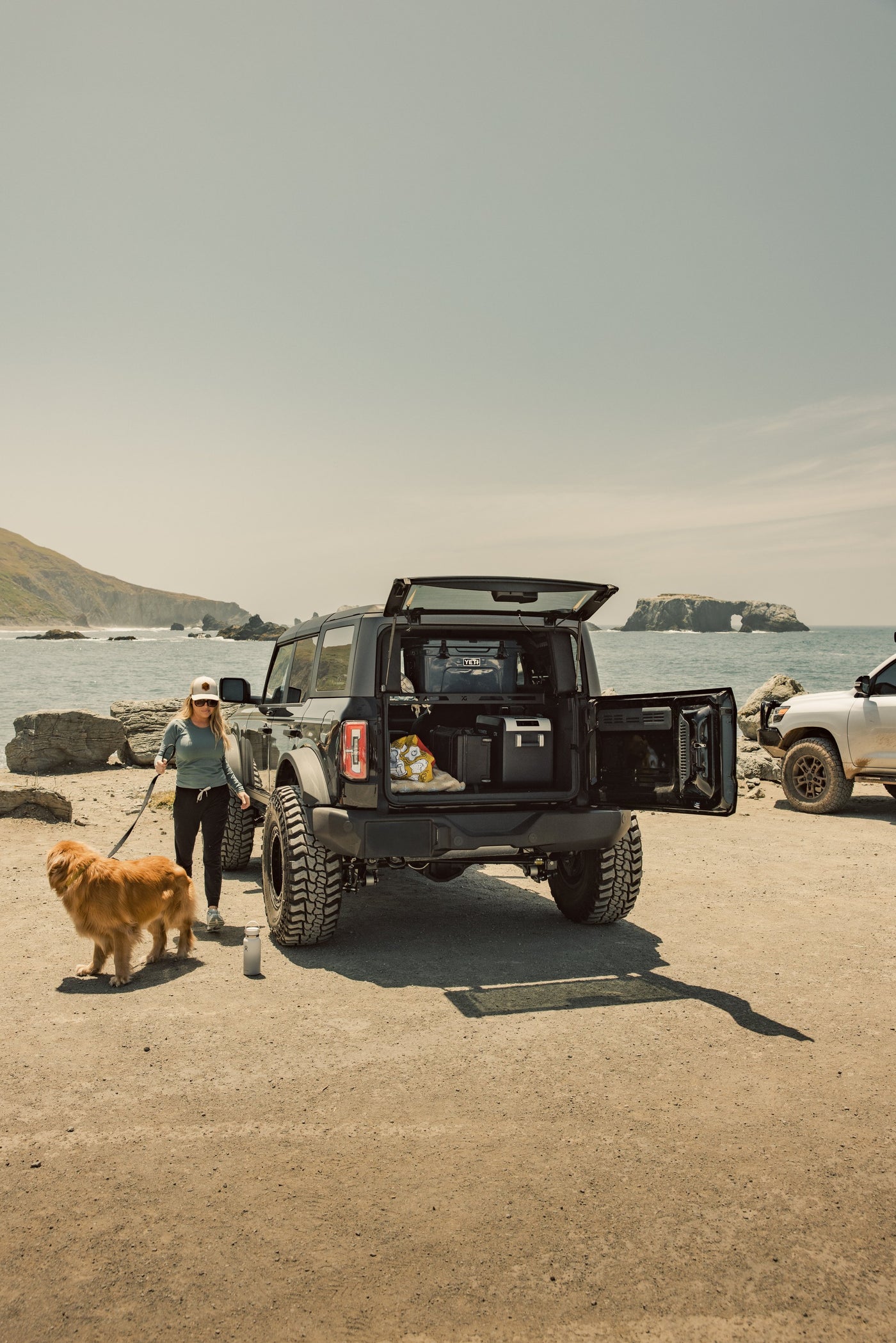 Ford Bronco open at the coast with a golden retriever
