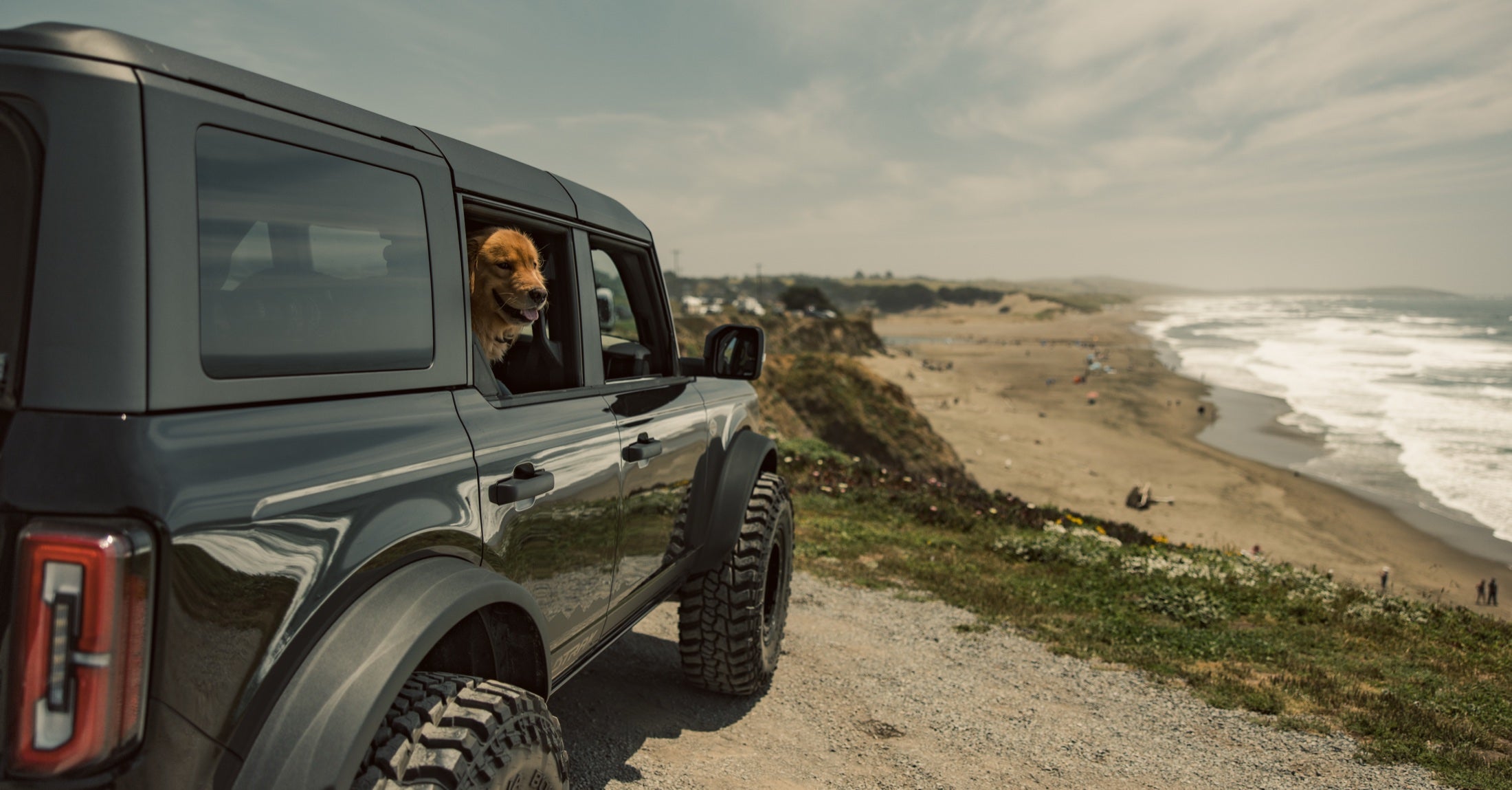 Ford Bronco parked above the beach, dog looking out the window